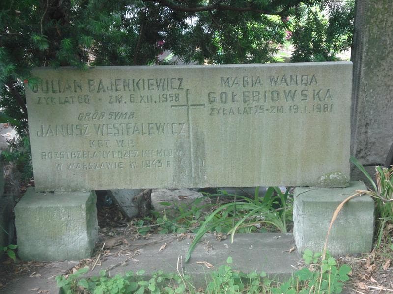 Zdjęcie grobu Julian Bajenkiewicz (2)