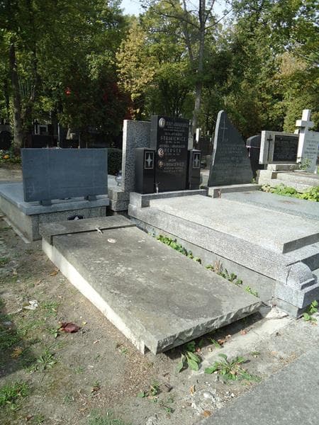 Zdjęcie grobu Maria Dziedzic (2)