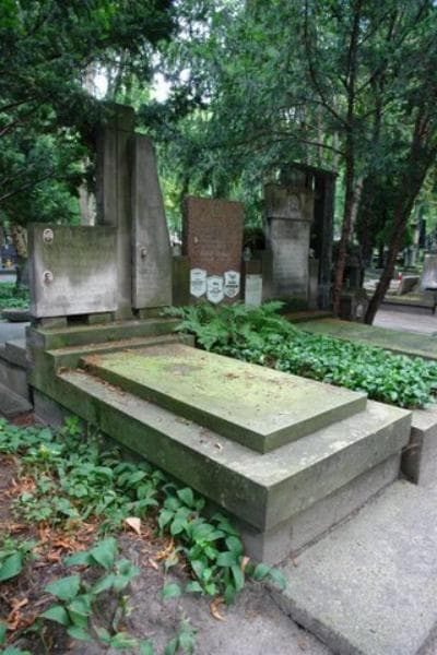 Zdjęcie grobu Henryk Domaszewski (1)