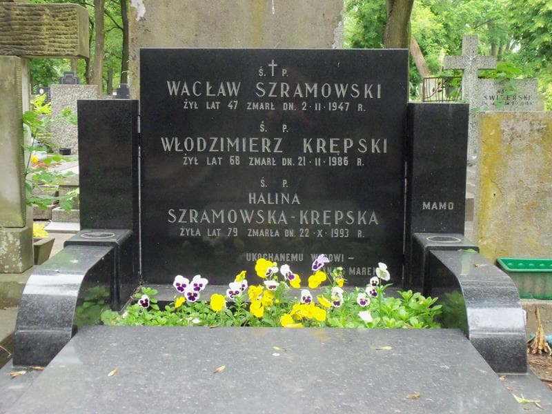 Zdjęcie grobu Włodzimierz Krępski (2)