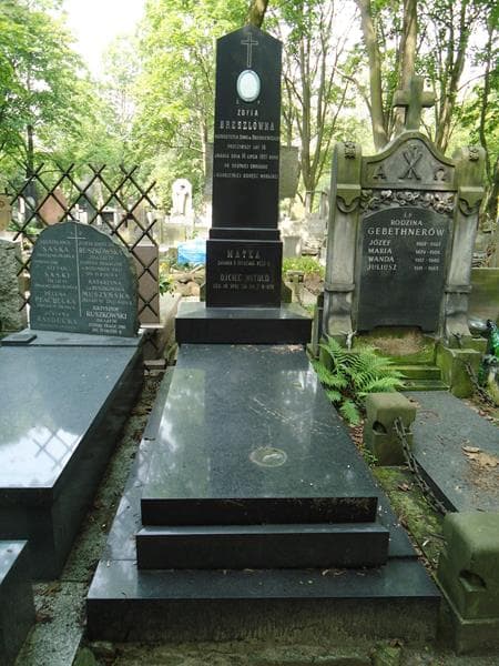 Zdjęcie grobu Witold Breszl (1)