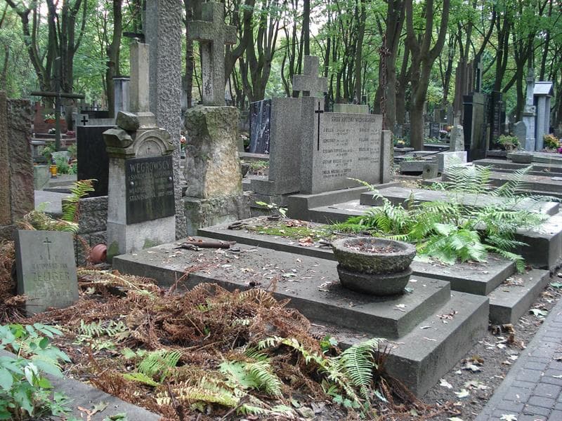 Zdjęcie grobu: Aleksandra Węgrowska