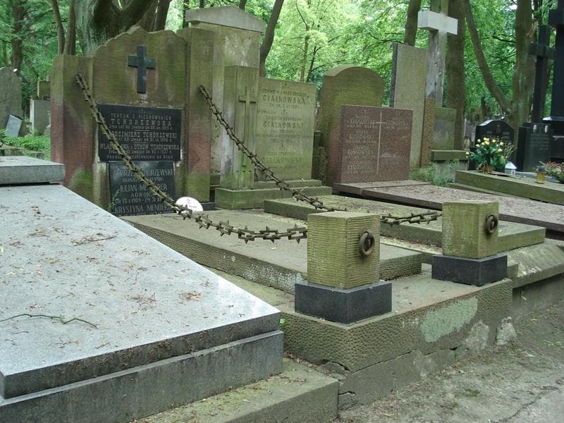 Zdjęcie grobu Teresa Tchórzewska (1)