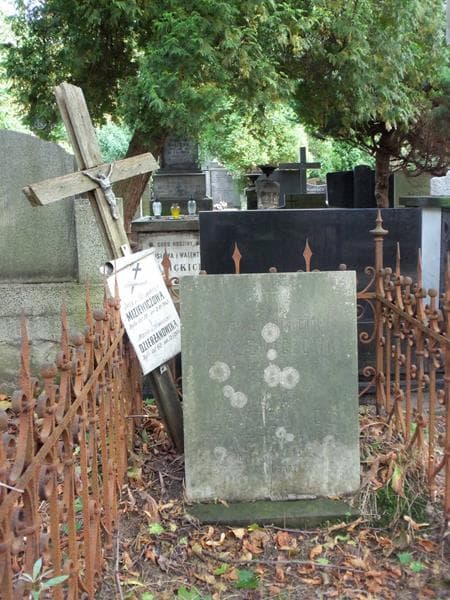 Zdjęcie grobu Wiktor Czyżewicz (2)