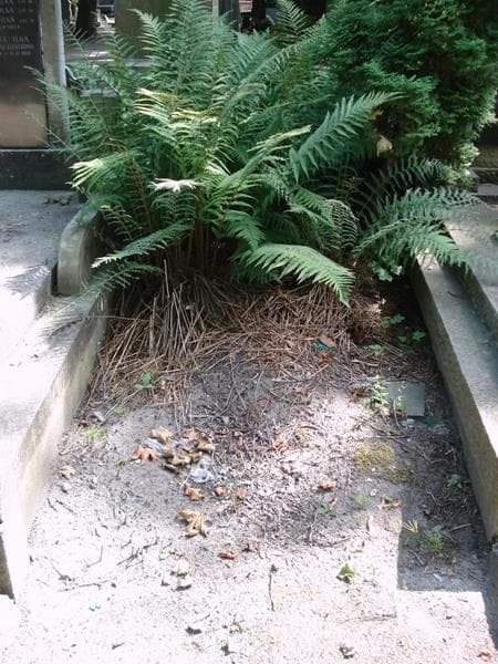 Zdjęcie grobu Pole Grobowe (1)