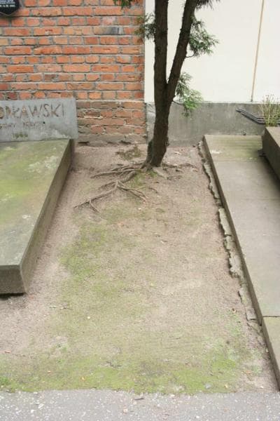 Zdjęcie grobu: Pole Grobowe