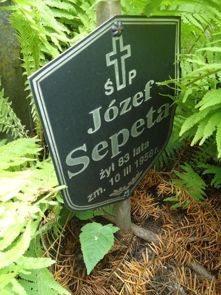 Zdjęcie grobu Józef Sepeta (2)