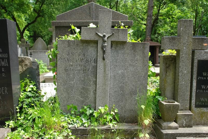 Zdjęcie grobu Antoni Pawłowski (2)