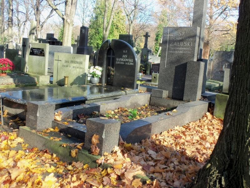 Zdjęcie grobu Zygmunt Karol Załuski (1)
