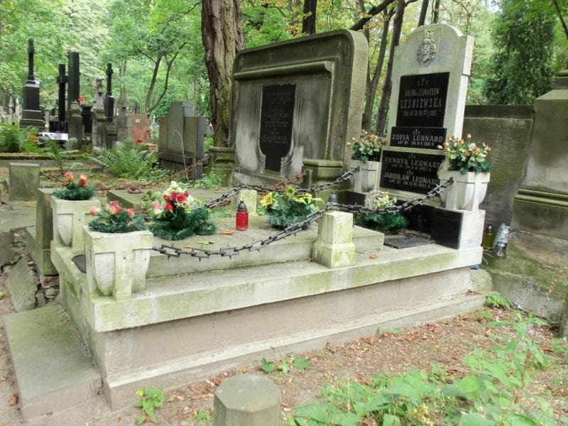 Zdjęcie grobu Zofia Leonard (1)
