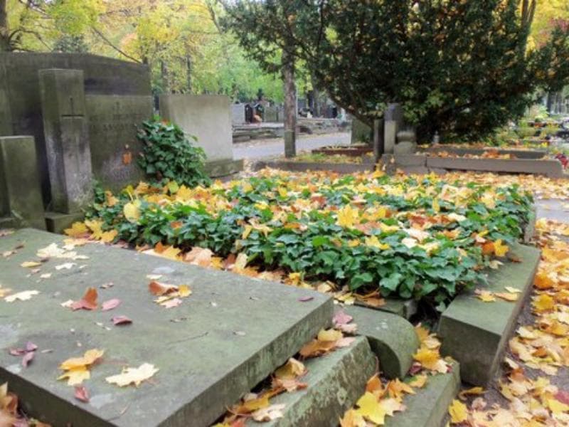 Zdjęcie grobu Halina Malangiewicz (1)