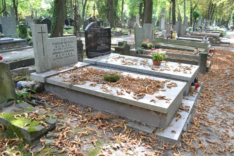 Zdjęcie grobu: Stanisław Krzysztof Rudzki