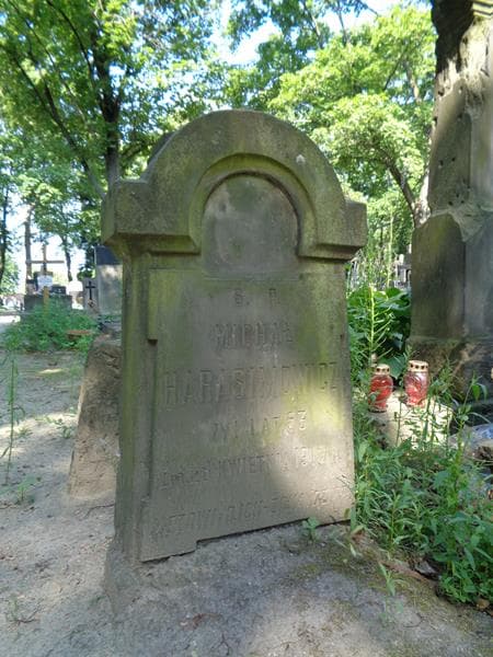 Zdjęcie grobu Michał Harasimowicz (2)