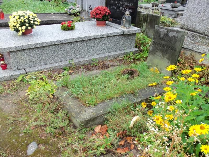 Zdjęcie grobu Kamilla Domańska (1)