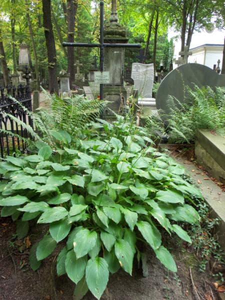 Zdjęcie grobu: Kazimiera Maria Chankowska