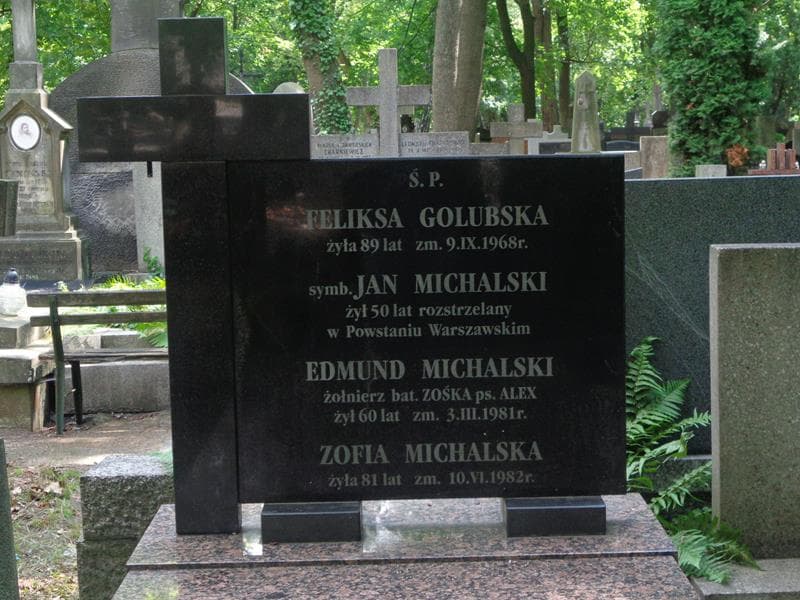 Zdjęcie grobu Feliksa Golubska (2)
