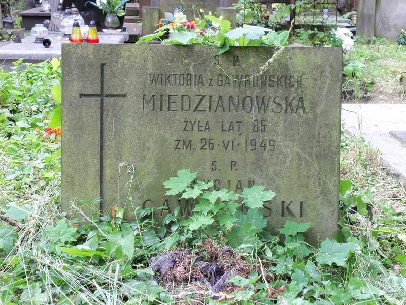 Zdjęcie grobu Wiktoria Miedzianowska (2)