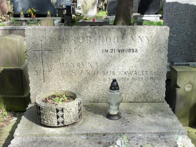 Zdjęcie grobu Henryk Liszko (2)