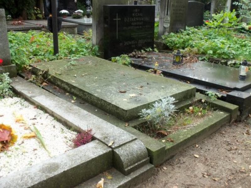 Zdjęcie grobu Zofia Sawicka (1)