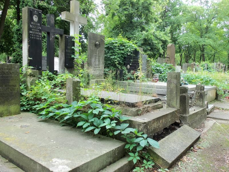 Zdjęcie grobu Marja Marjin (1)
