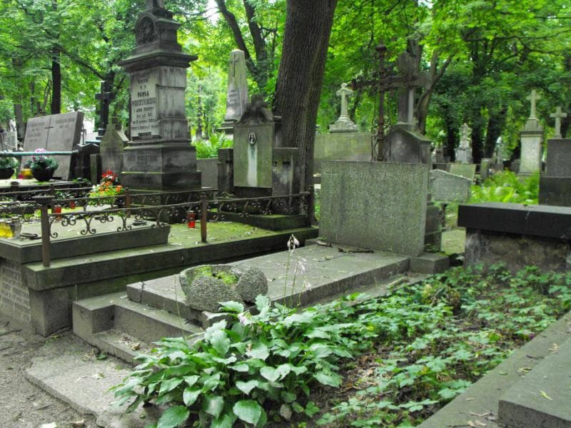 Zdjęcie grobu Aniela Gładych (1)