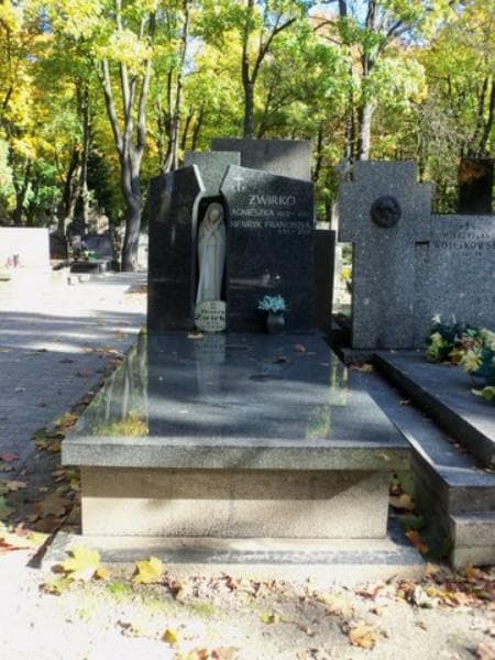 Zdjęcie grobu: Henryk Franciszek Żwirko