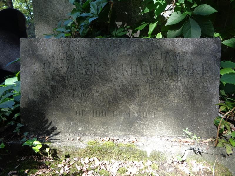 Zdjęcie grobu Adam Kochański (2)