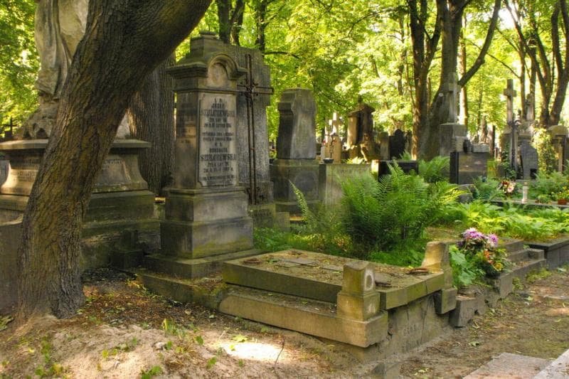Zdjęcie grobu Henryk Schumann (1)