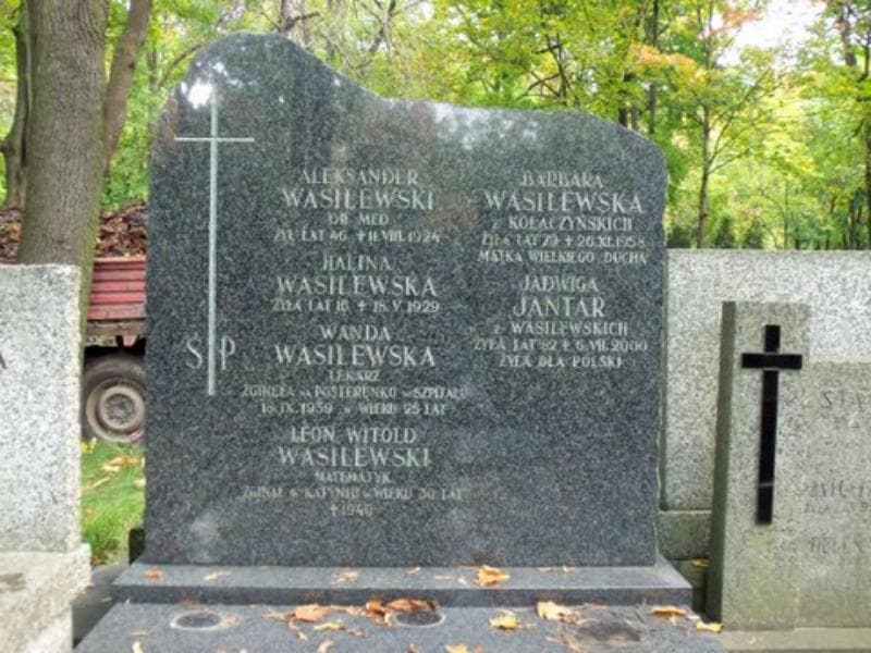 Zdjęcie grobu Aleksander Wasilewski (2)