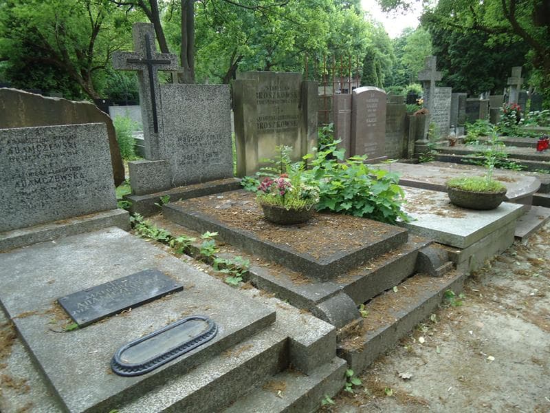 Zdjęcie grobu Janina Ponto Woźniakowska (1)
