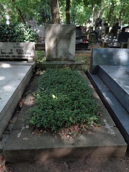 Zdjęcie grobu Halina Czajkowska (1)