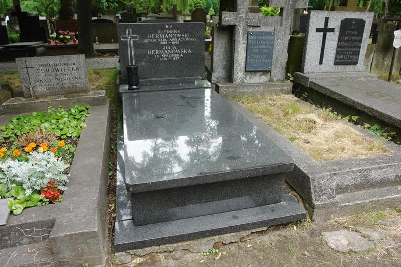 Zdjęcie grobu Klemens Hermanowski (1)
