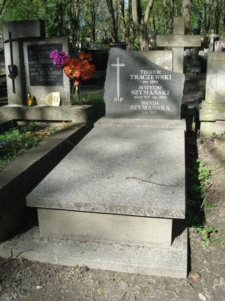 Zdjęcie grobu: Teodor Traczewski