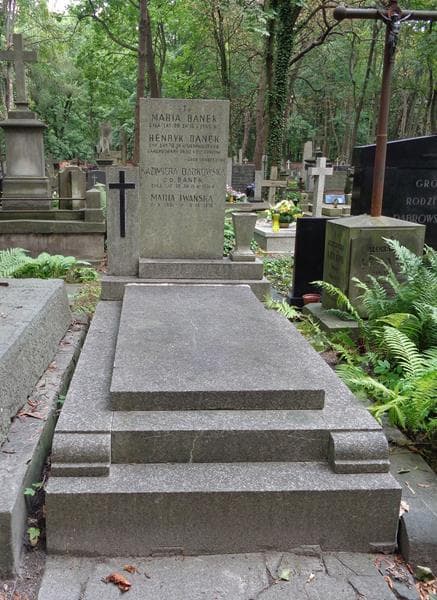Zdjęcie grobu Henryk Banek (1)