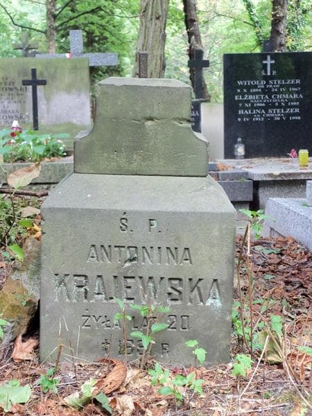 Zdjęcie grobu Antonina Krajewska (2)