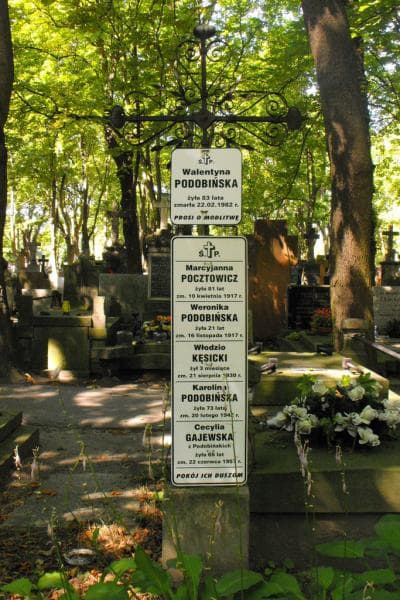 Zdjęcie grobu Marcyjanna Pocztowicz (2)