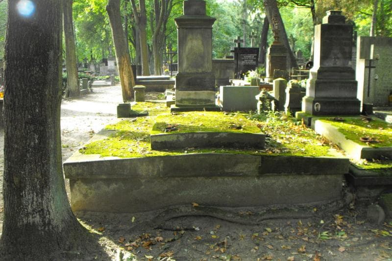 Zdjęcie grobu: Chojnaccy