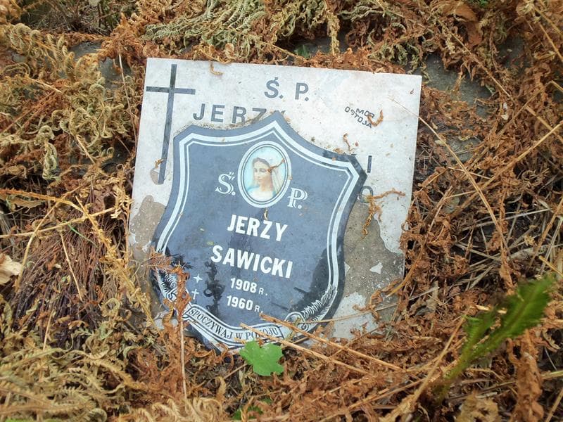 Zdjęcie grobu Jerzy Sawicki (2)