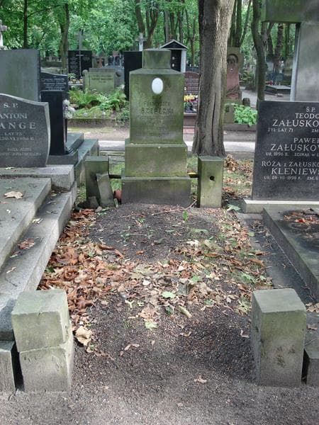 Zdjęcie grobu Franciszek Rzepecki (1)
