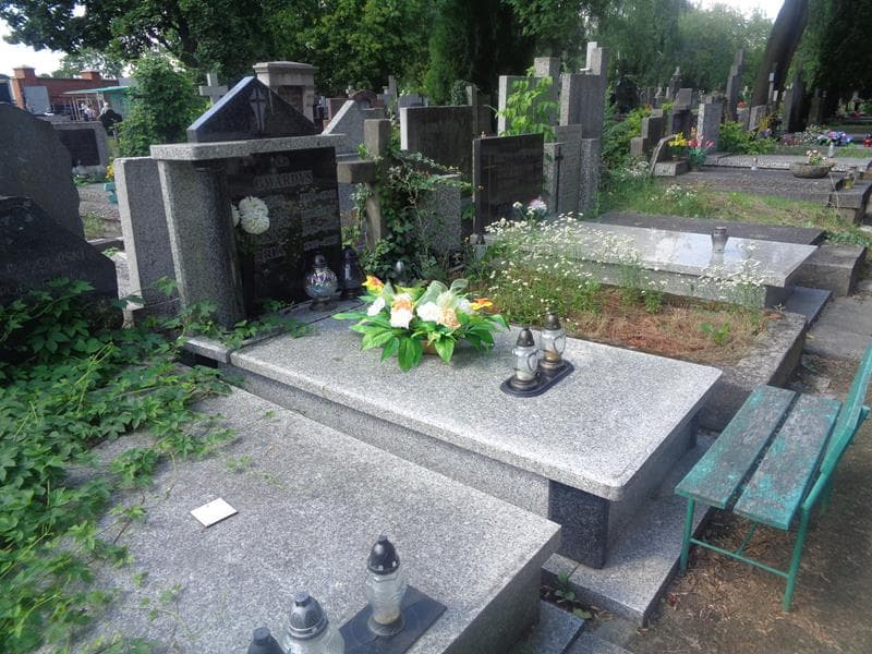Zdjęcie grobu: Irena Gwardys