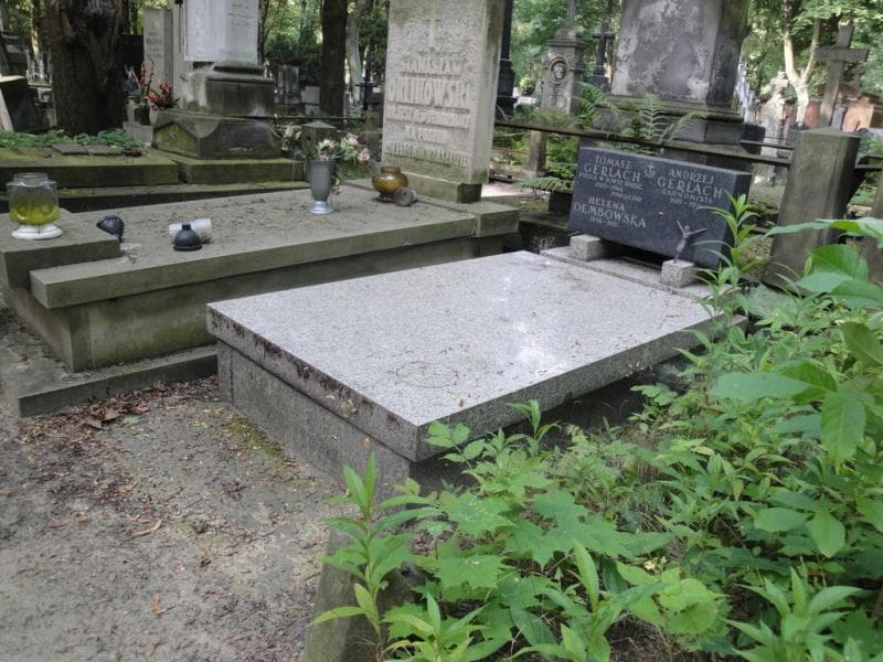 Zdjęcie grobu Helena Dembowska (1)