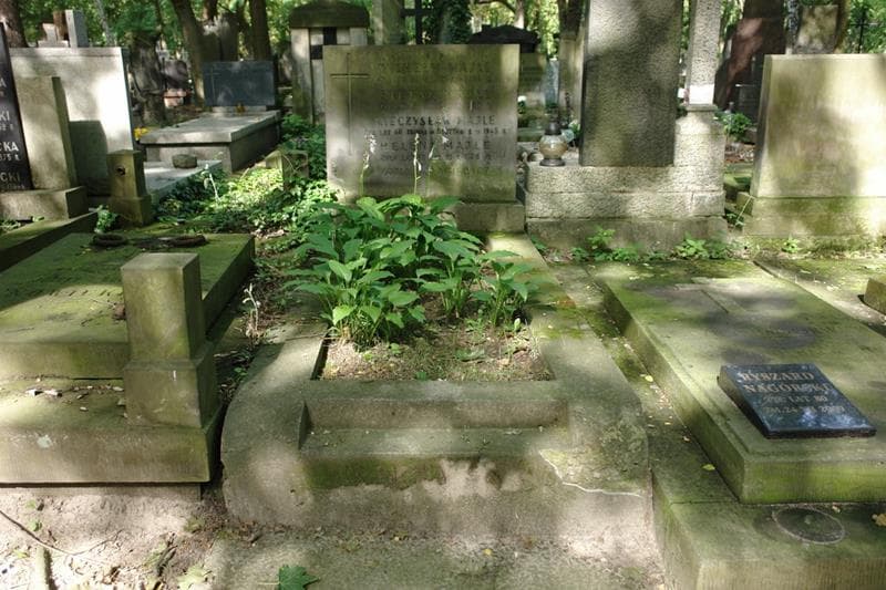 Zdjęcie grobu Mieczysław Majle (1)