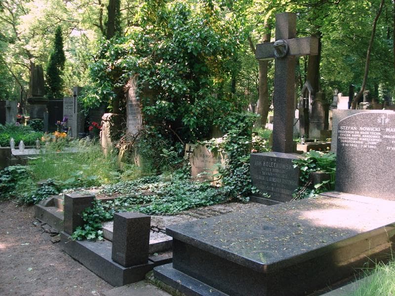 Zdjęcie grobu: Jan Bolechowski