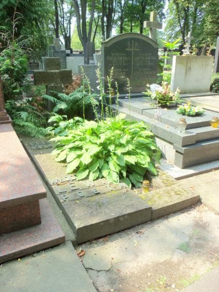 Zdjęcie grobu Włodzimierz Lewik (1)
