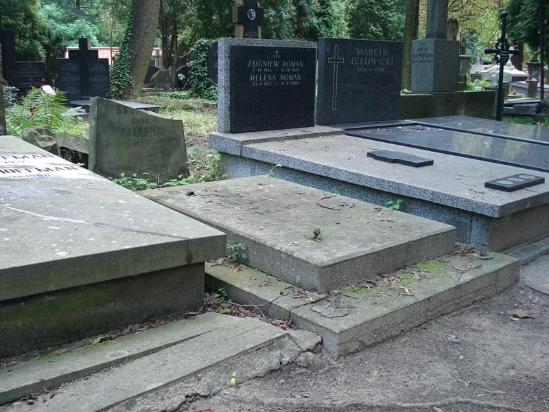 Zdjęcie grobu Apolonja Rykowska (1)
