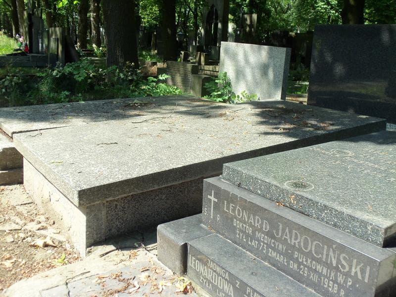 Zdjęcie grobu Krystyna Wysznacka (1)