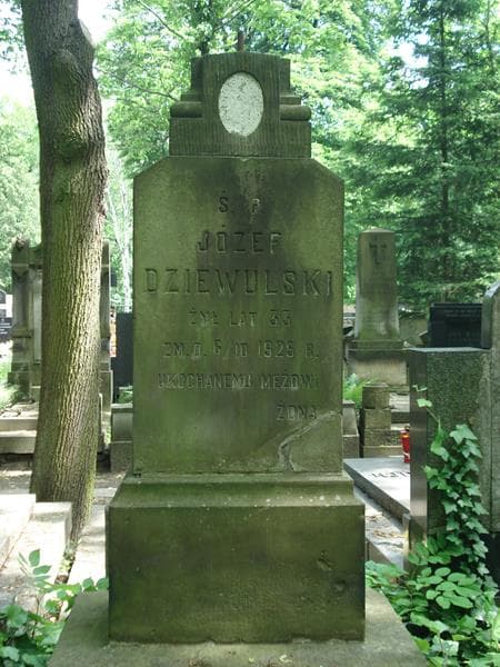 Zdjęcie grobu Józef Dziewulski (2)