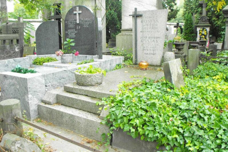 Zdjęcie grobu Danuta Poleska (1)