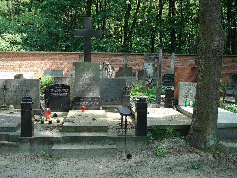 Zdjęcie grobu: Janusz Maciejewicz