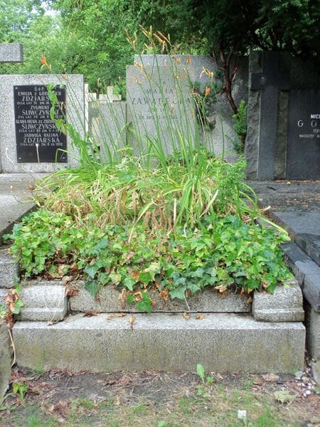 Zdjęcie grobu: Maria Zawadecka